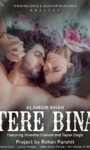 Nivedita Chandel Back With New Song Tere Bina Featuring Tapan Singh