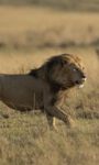 DCP Expeditions Presents – DCP Annual Photography Exhibition 2023 I 20th – 21st And 22nd January 2023