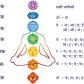 The “Mukti Yantra” For Drinking Water Purification By The Vedic World Created By Pandit Rajkumar Sharma For Healthy And Energized Water